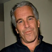 Epstein Didn't F1