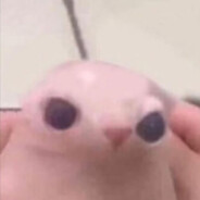 bigus