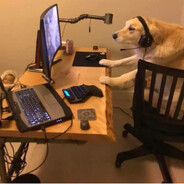 O Lobo de Wall e Cheat