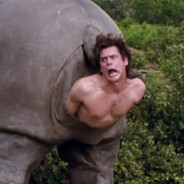 Ace Ventura