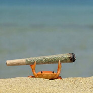 Steam Community Avatar