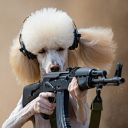 PoodleGirlTheFighter