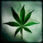 ᴍᴀʀɪʜᴜᴀɴ420