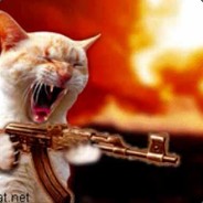 ♥ miau+Purplehaze=KamiKatze ♥