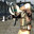 Group Avatar