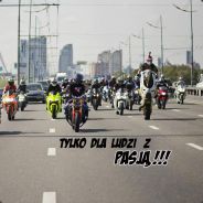 Rozczochrany.!