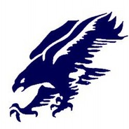 The Blue Falcon
