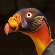 Zardy761