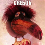 gunohaaaaa