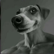 WEBOKA