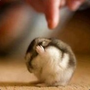 SLEATY`