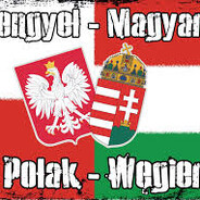 tostszynka_skins.army