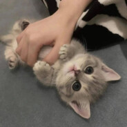 Саша ♥♥♥♥♥♥