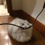 коротнуло