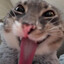 Rey_kuni_