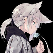 🐾
