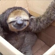 SlothBone