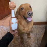 AKAblurryface