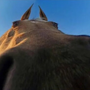 Cosmo_Horse
