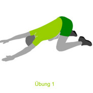 hau ab