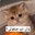 Group Avatar