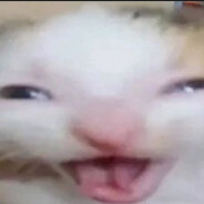 尊嘟假嘟o.O