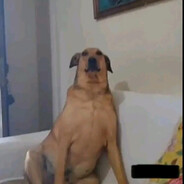 Κυνηγός