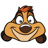 Timon RDE