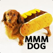 Steam profile picture for @learns