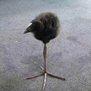 DAMM!!??