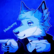 bluefoxie.winters