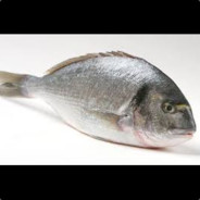 Bergfisch