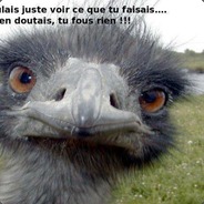 Dadatruc