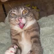 MoszkienPrime_CsgoSkins.Army