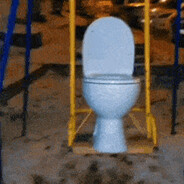 toilet