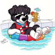 BazzCollie