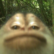 Abay