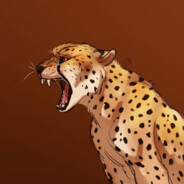 cheetah