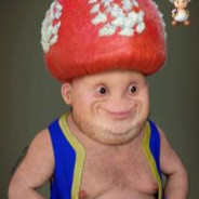 Toad on METH