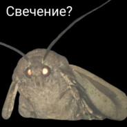 Dodikshelkopryad