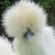 Fluffy Chimken