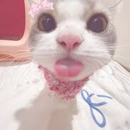 $ Samiik
