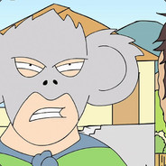 Koala Man