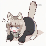 橙鸽
