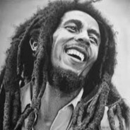 Bot Marley➶⁀➷‿➶⁀➷