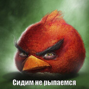 Сидим_Не_Рыпаемся