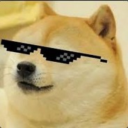 Doge