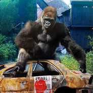 Steam Community Avatar