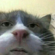 Lupek