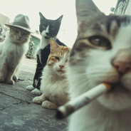 Steam Community Avatar